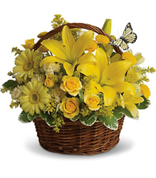 Basket Full of Wishes from Arjuna Florist in Brockport, NY